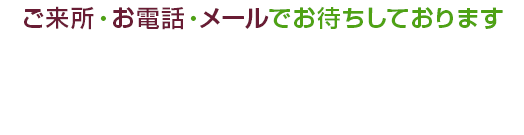 無料相談はこちら