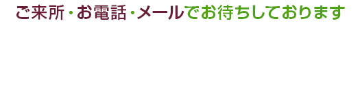 無料相談はこちら